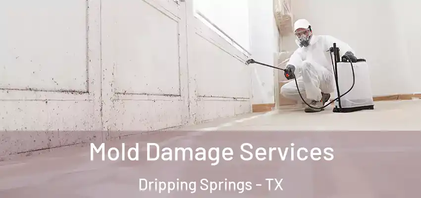 Mold Damage Services Dripping Springs - TX
