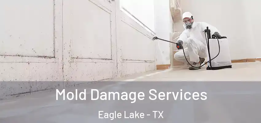  Mold Damage Services Eagle Lake - TX