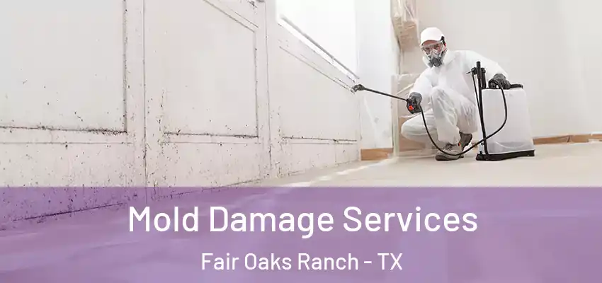  Mold Damage Services Fair Oaks Ranch - TX
