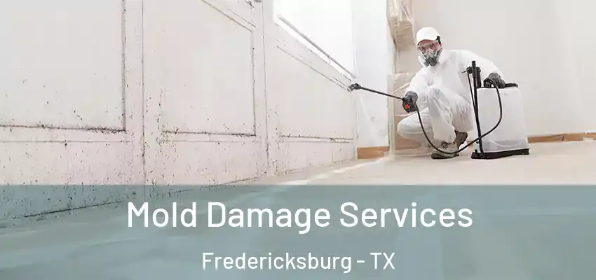  Mold Damage Services Fredericksburg - TX