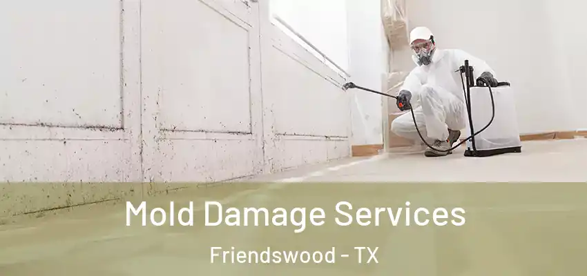  Mold Damage Services Friendswood - TX