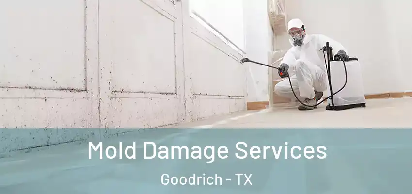  Mold Damage Services Goodrich - TX