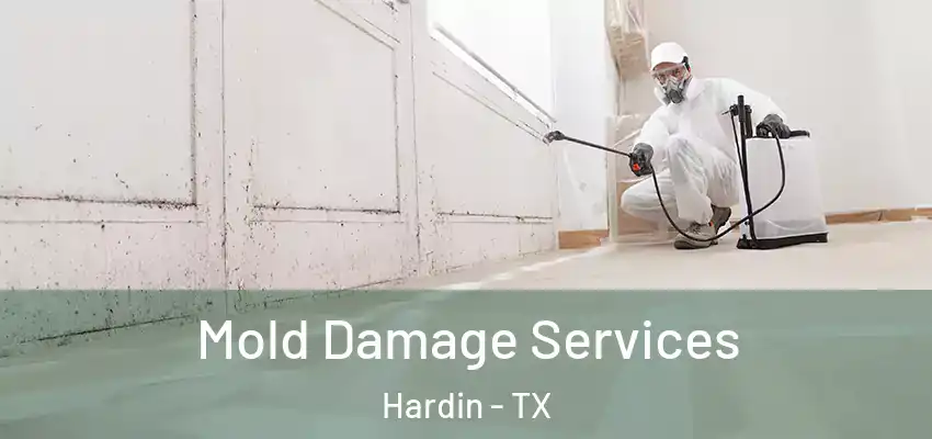  Mold Damage Services Hardin - TX