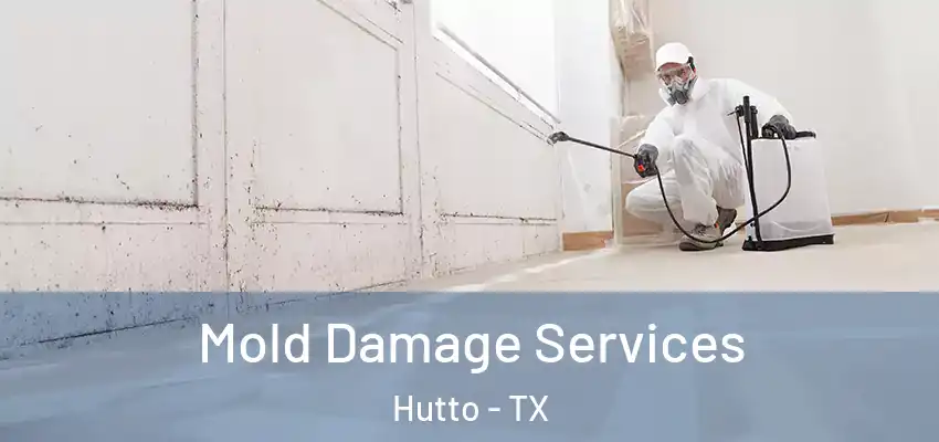  Mold Damage Services Hutto - TX