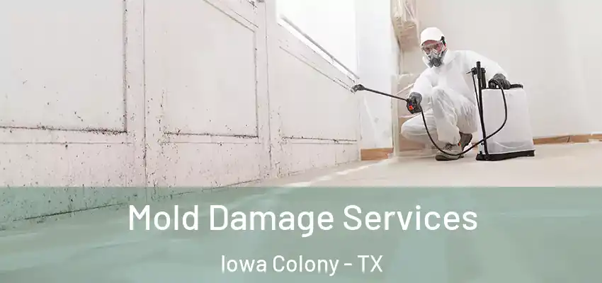  Mold Damage Services Iowa Colony - TX