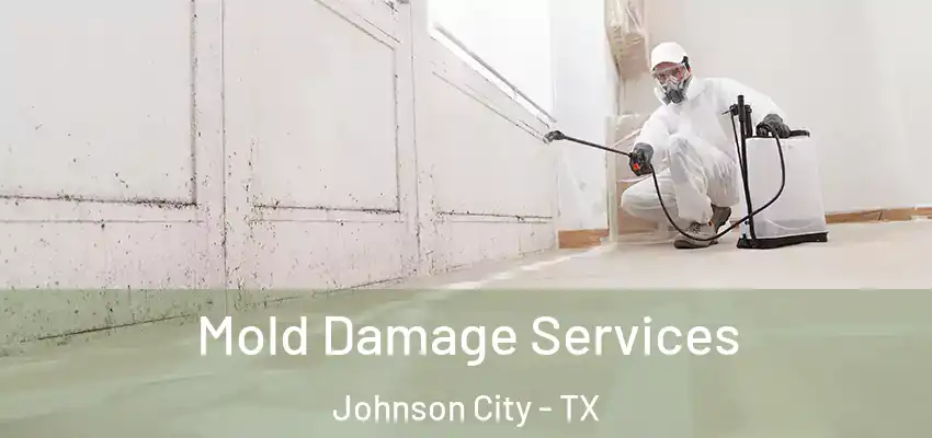  Mold Damage Services Johnson City - TX