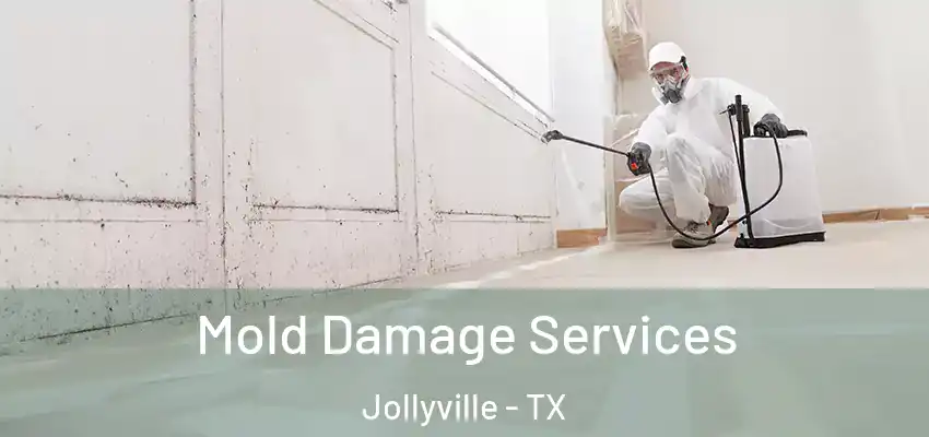  Mold Damage Services Jollyville - TX