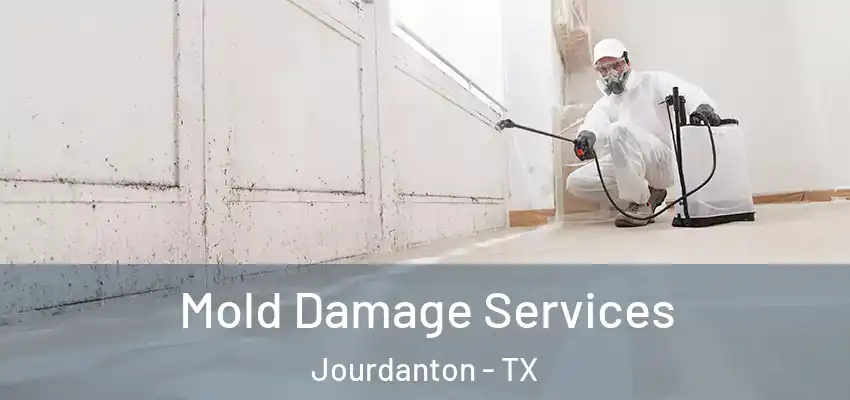  Mold Damage Services Jourdanton - TX