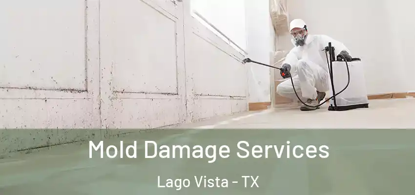  Mold Damage Services Lago Vista - TX