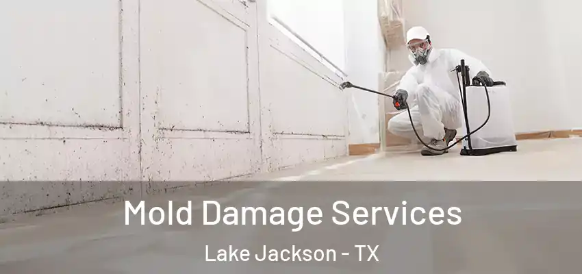  Mold Damage Services Lake Jackson - TX