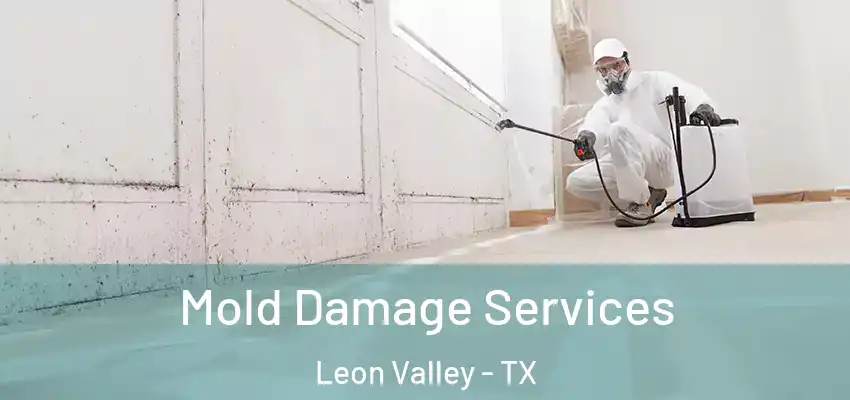  Mold Damage Services Leon Valley - TX