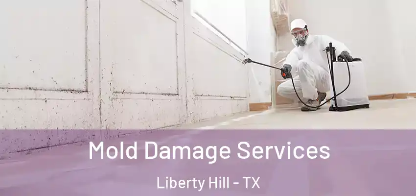  Mold Damage Services Liberty Hill - TX