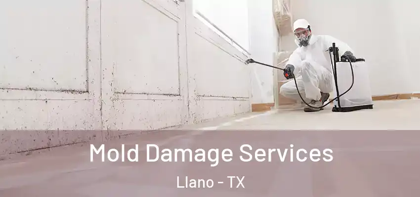  Mold Damage Services Llano - TX
