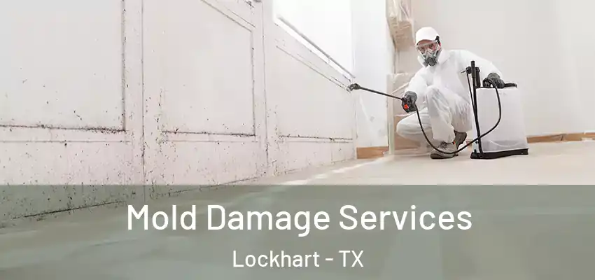  Mold Damage Services Lockhart - TX