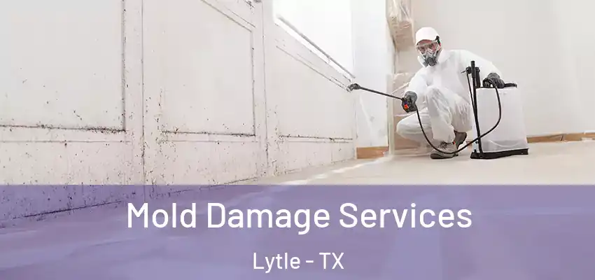  Mold Damage Services Lytle - TX