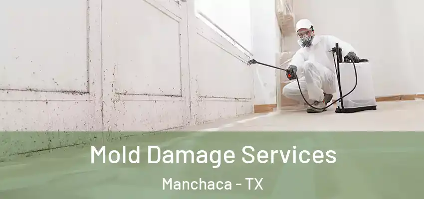  Mold Damage Services Manchaca - TX