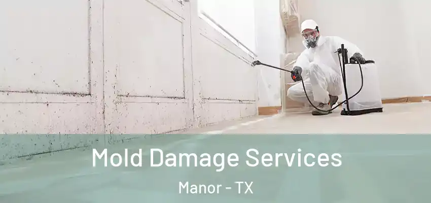  Mold Damage Services Manor - TX