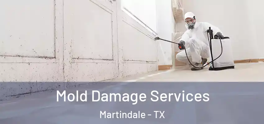  Mold Damage Services Martindale - TX