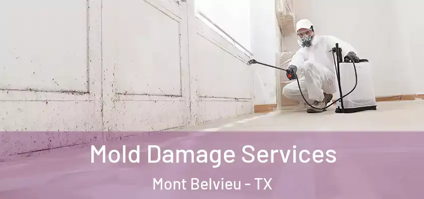  Mold Damage Services Mont Belvieu - TX