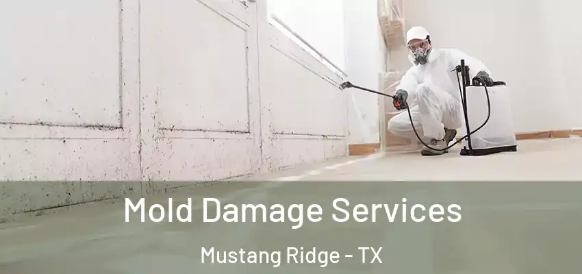  Mold Damage Services Mustang Ridge - TX