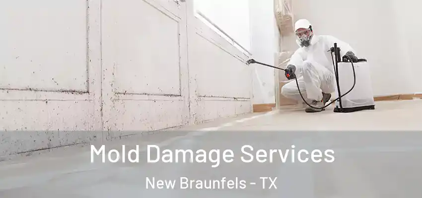  Mold Damage Services New Braunfels - TX