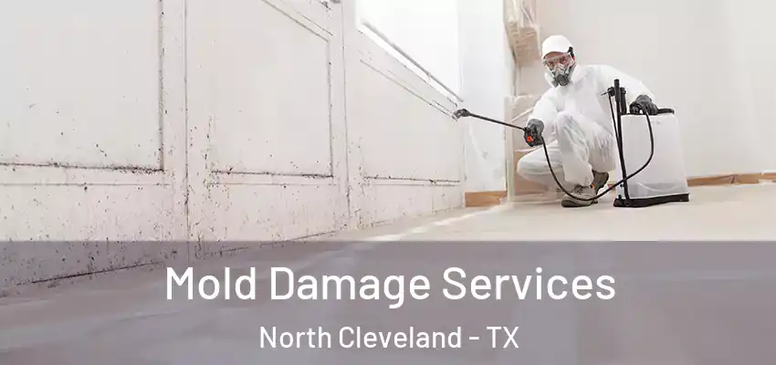  Mold Damage Services North Cleveland - TX