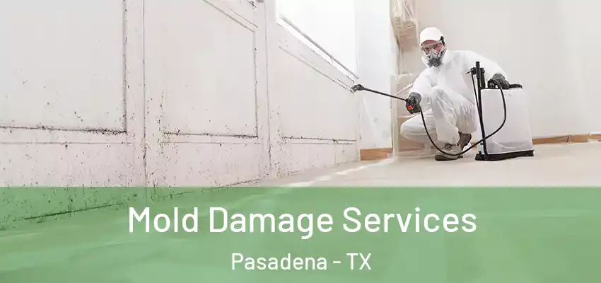  Mold Damage Services Pasadena - TX