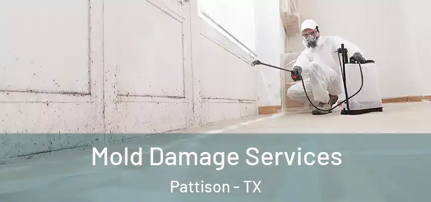  Mold Damage Services Pattison - TX