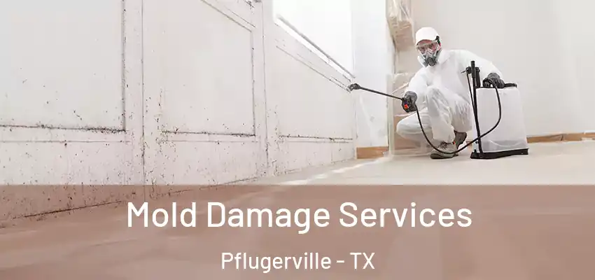  Mold Damage Services Pflugerville - TX