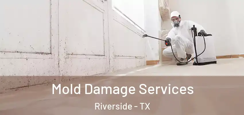  Mold Damage Services Riverside - TX