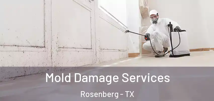  Mold Damage Services Rosenberg - TX