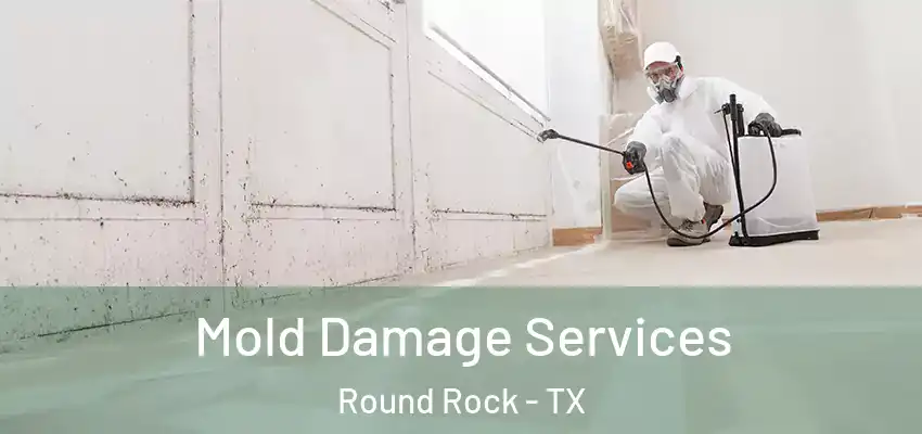  Mold Damage Services Round Rock - TX