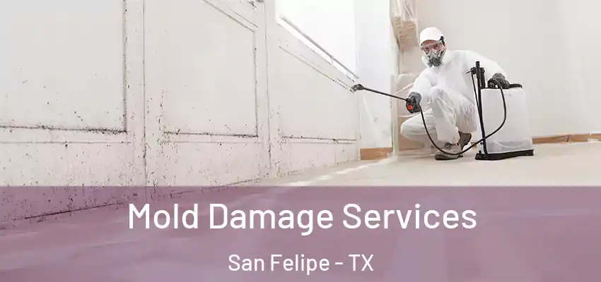  Mold Damage Services San Felipe - TX