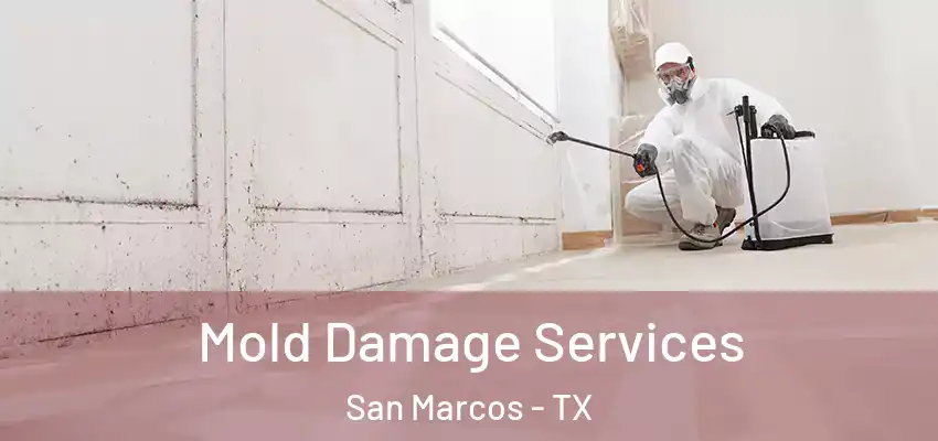  Mold Damage Services San Marcos - TX