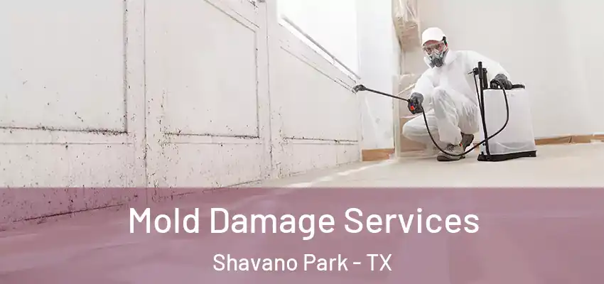  Mold Damage Services Shavano Park - TX
