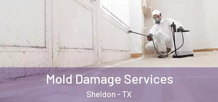  Mold Damage Services Sheldon - TX