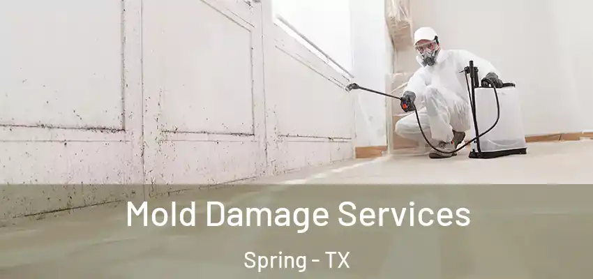  Mold Damage Services Spring - TX