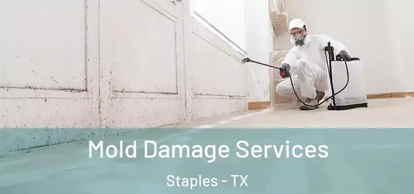  Mold Damage Services Staples - TX