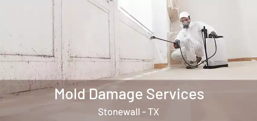 Mold Damage Services Stonewall - TX