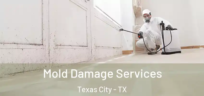  Mold Damage Services Texas City - TX