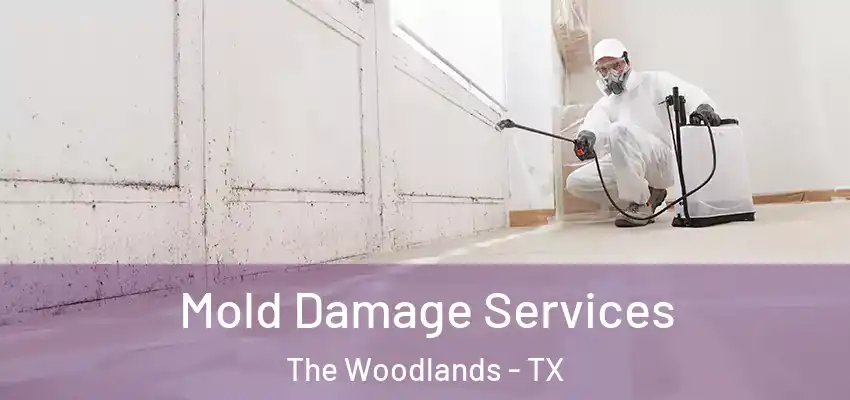  Mold Damage Services The Woodlands - TX