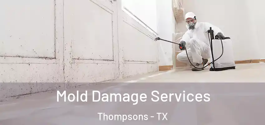  Mold Damage Services Thompsons - TX