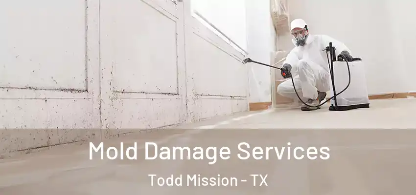  Mold Damage Services Todd Mission - TX