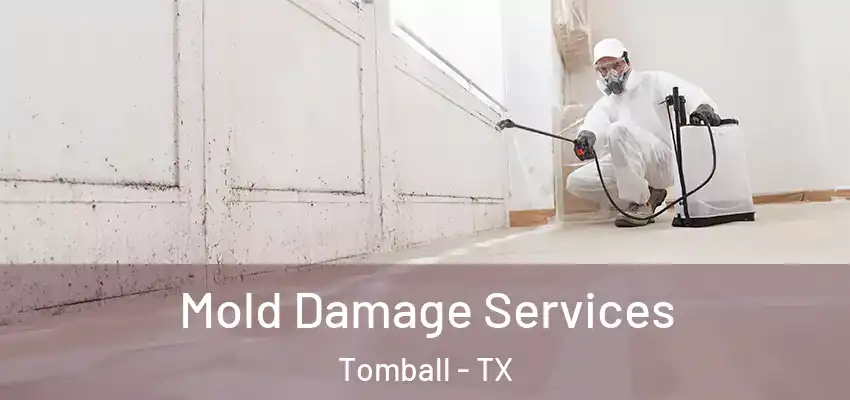  Mold Damage Services Tomball - TX