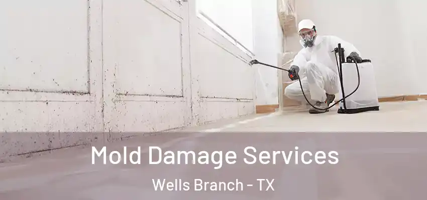  Mold Damage Services Wells Branch - TX