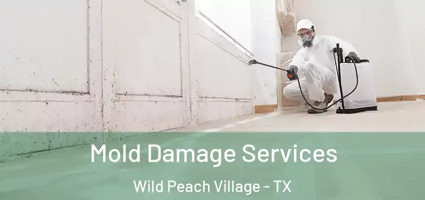  Mold Damage Services Wild Peach Village - TX