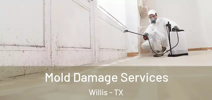  Mold Damage Services Willis - TX