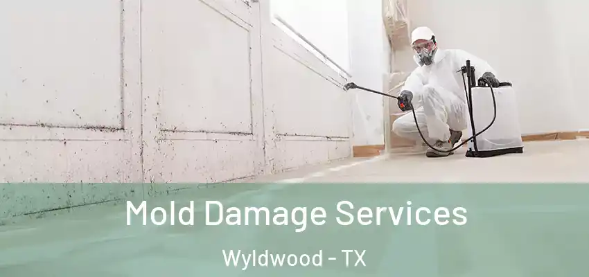 Mold Damage Services Wyldwood - TX