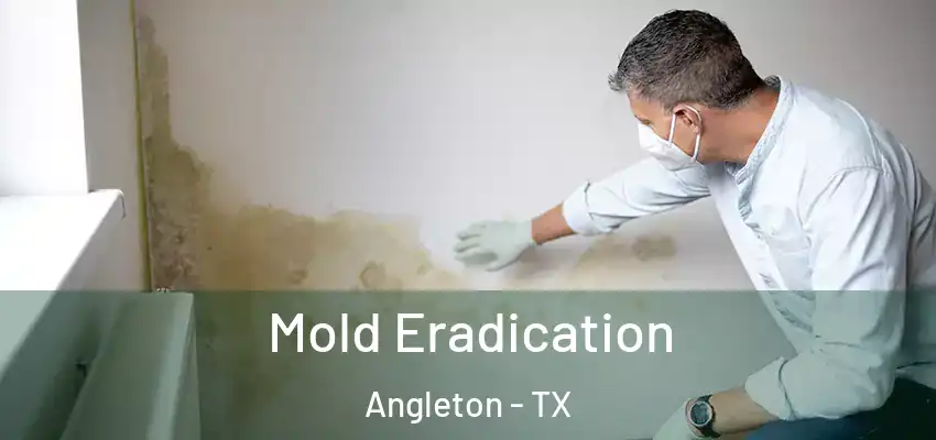  Mold Eradication Angleton - TX