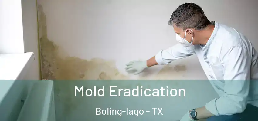  Mold Eradication Boling-Iago - TX